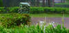 Banyan Tree Bintan 